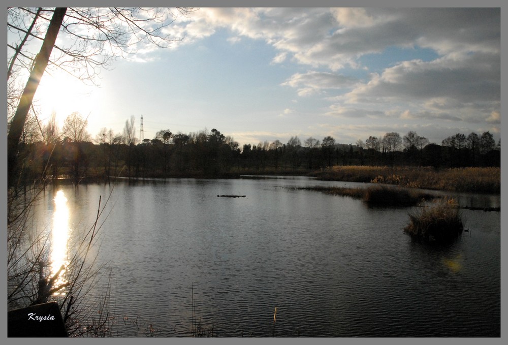 l'Etang de Fontmerle