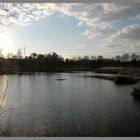 l'Etang de Fontmerle