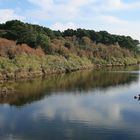 l'étang de Kerver à Arzon (Morbihan)