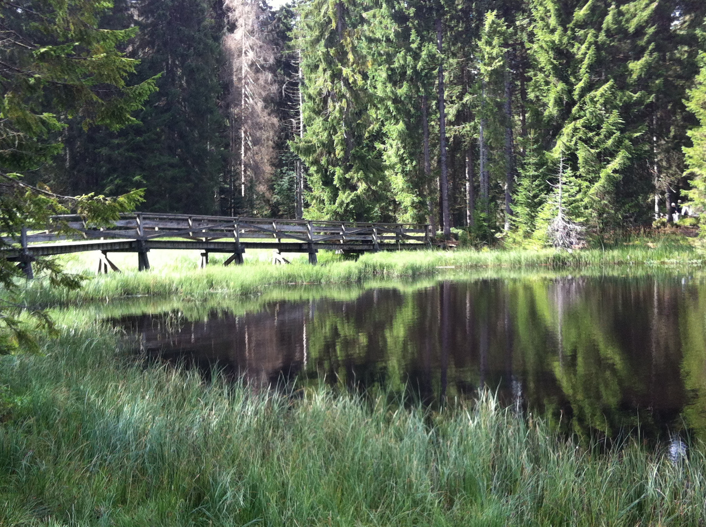 L'Etang de la Gruère