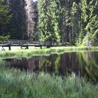 L'Etang de la Gruère