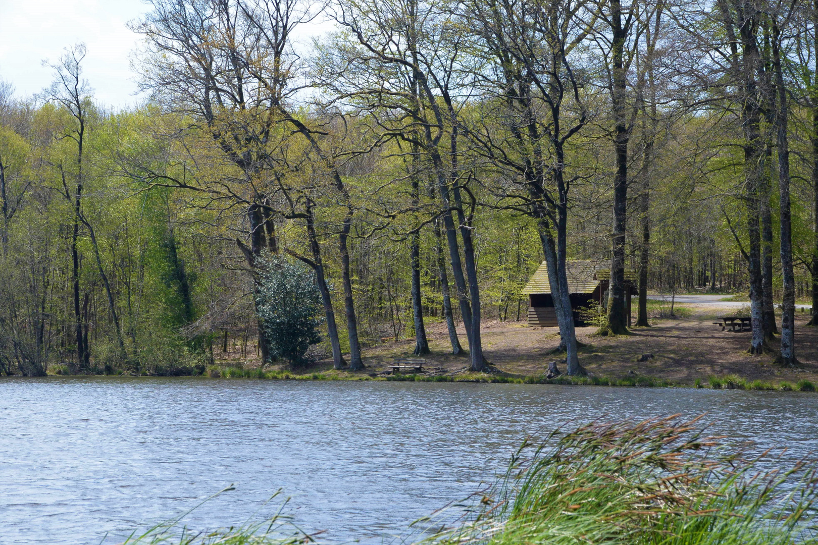 L'étang de la lande forêt (Orne)