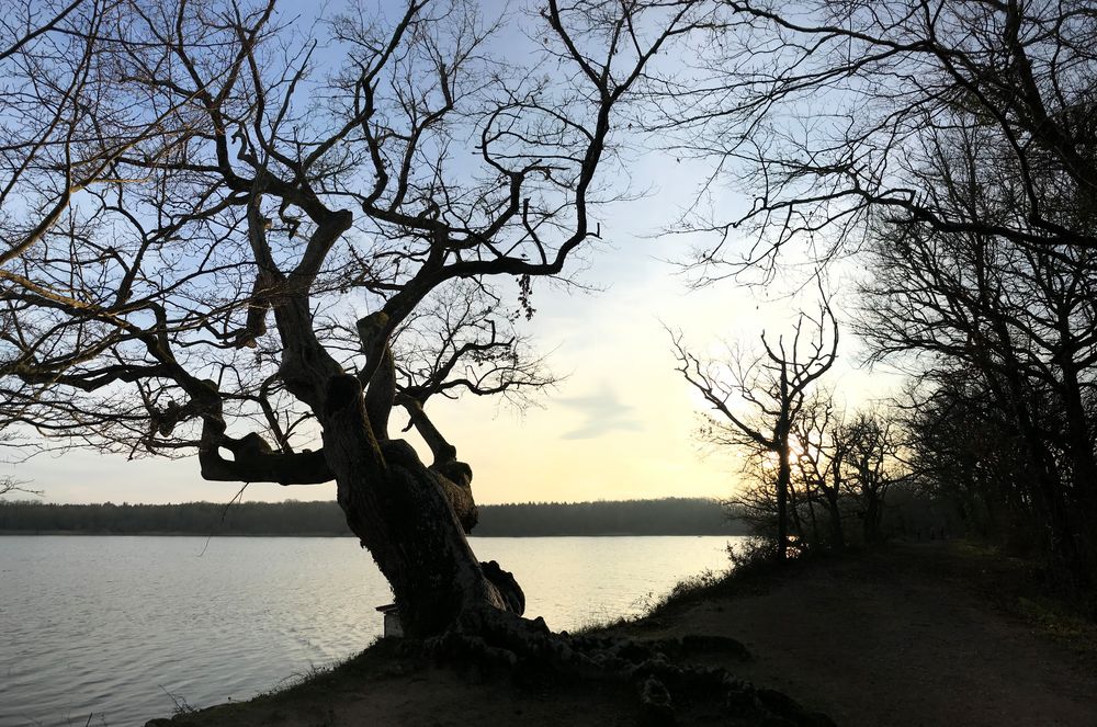 L’étang de la Mer Rouge (Brenne, France) Foto & Bild natur Bilder auf