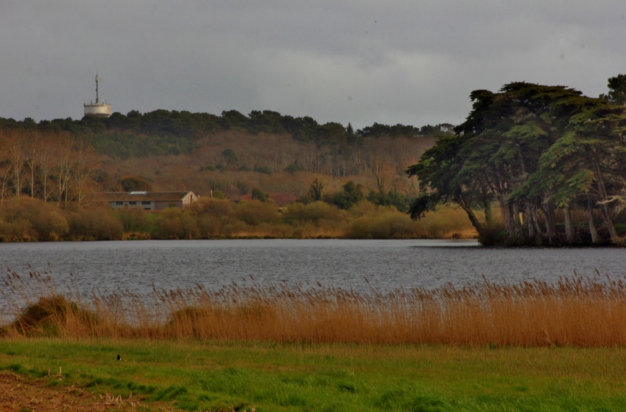 L'étang de Lannénec Ploemeur (Morbihan) 3