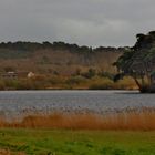 L'étang de Lannénec Ploemeur (Morbihan) 3