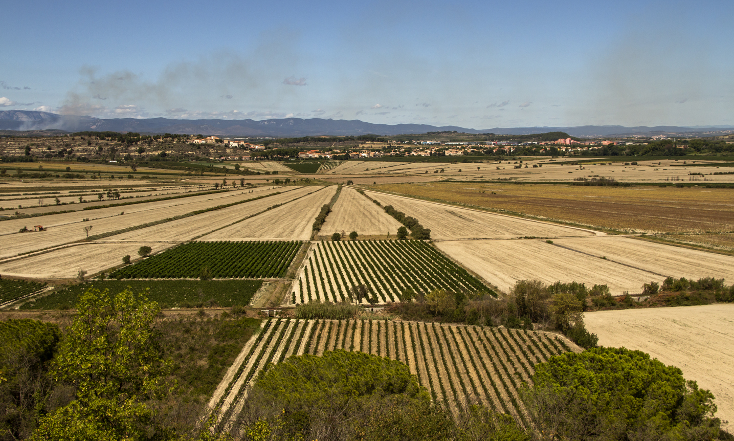 L'étang de Montady vu de l'oppidum d'Ensérune