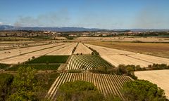 L'étang de Montady vu de l'oppidum d'Ensérune