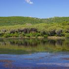 L`Etang de Santa Giulia