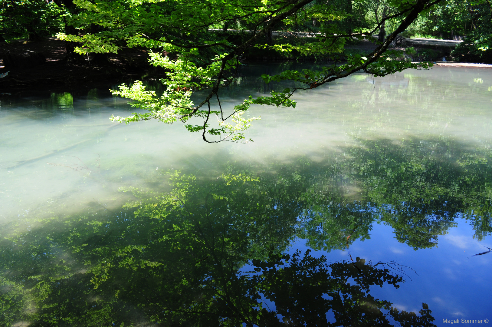 l'Etang du ciel