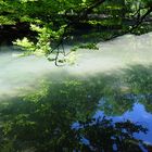 l'Etang du ciel