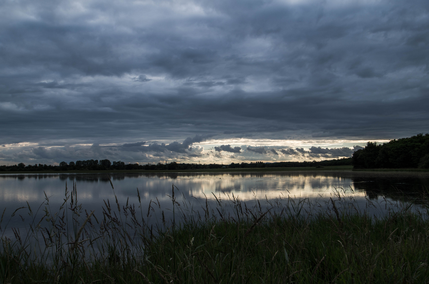 l'étang du grand Glareins Lapeyrouse Ain 2016 photo et image