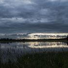 l'étang du grand Glareins - Lapeyrouse - Ain 2016