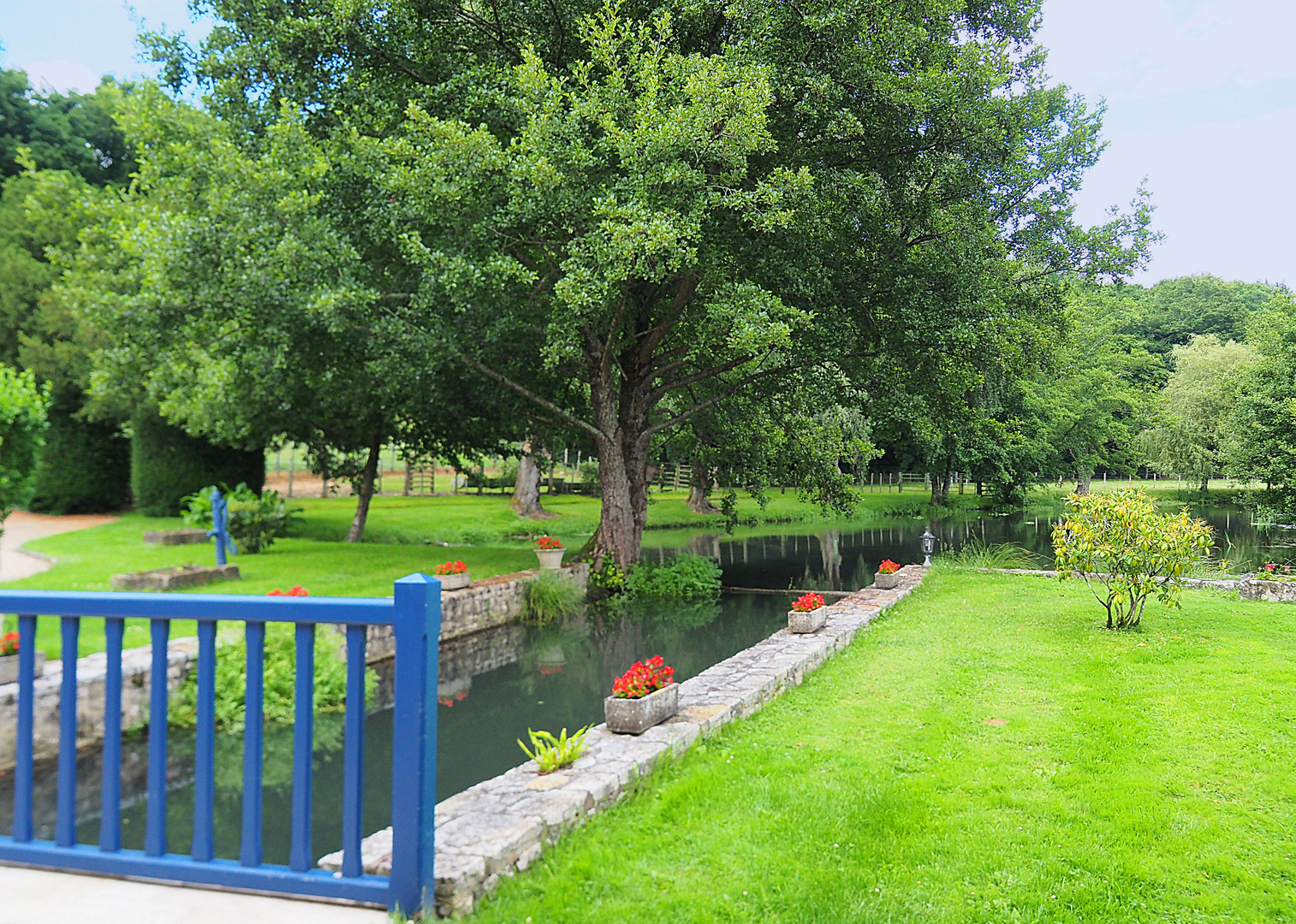 L’étang du Moulin de Boisseguin