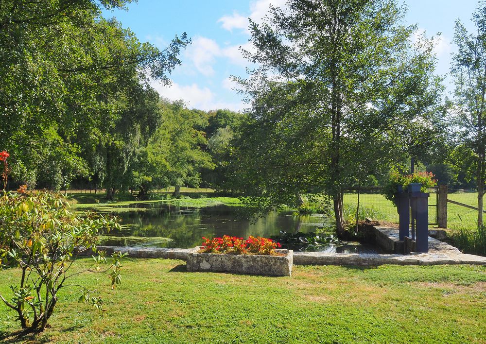 L’étang du Moulin de Boisseguin