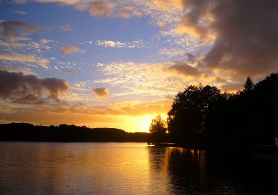 l'étang du moulin neuf à rochefort en terre