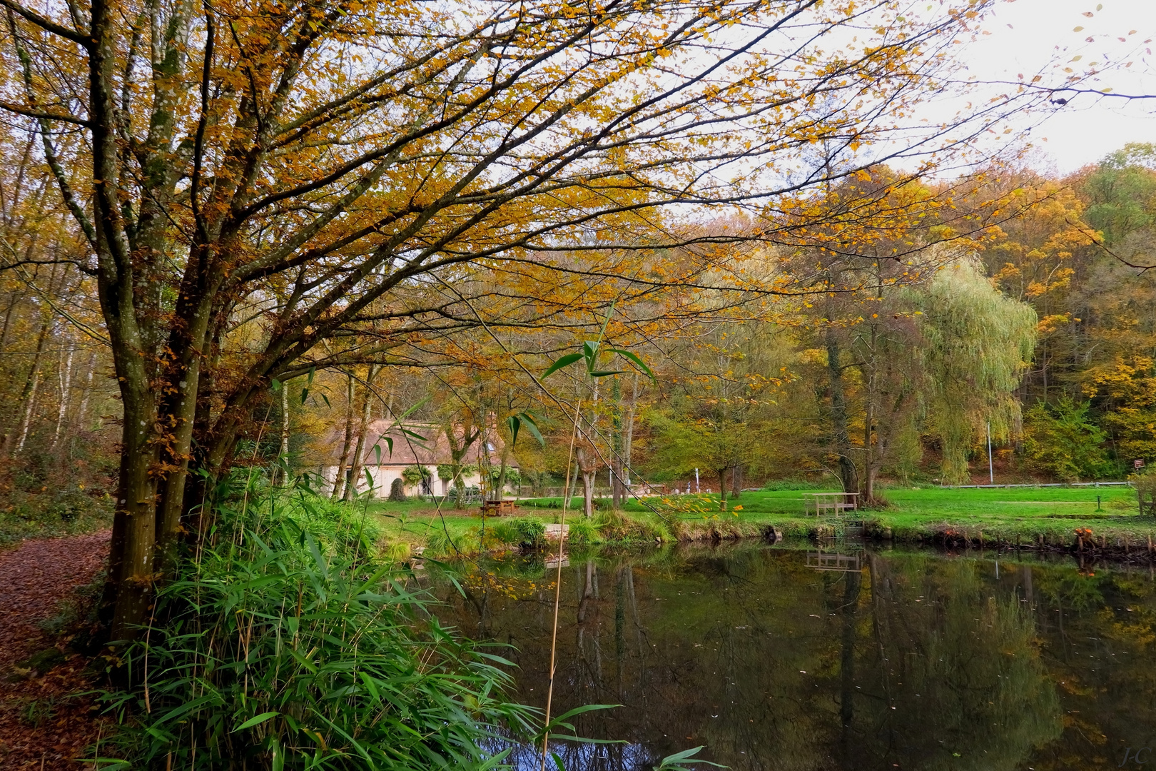 " L'étang du petit moulin. "