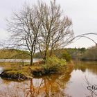 Létang du Ter à Ploemeur (Morbihan)