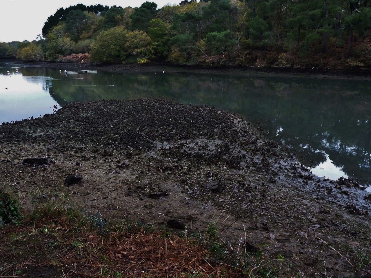 L'étang du Ter où il manque de l'eau