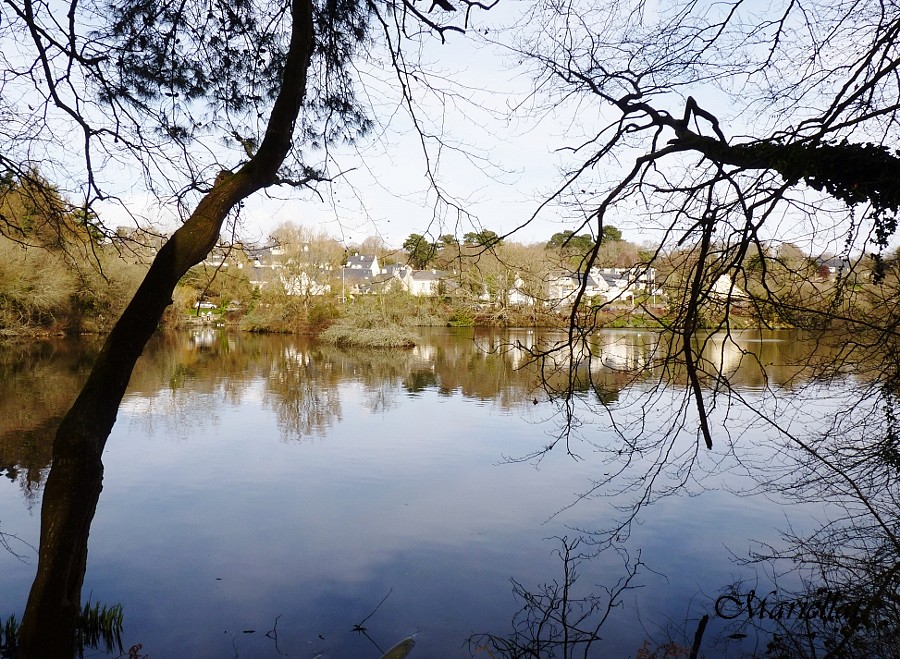 L'étang du Ter Ploemeur Morbihan (suite)