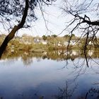 L'étang du Ter Ploemeur Morbihan (suite)