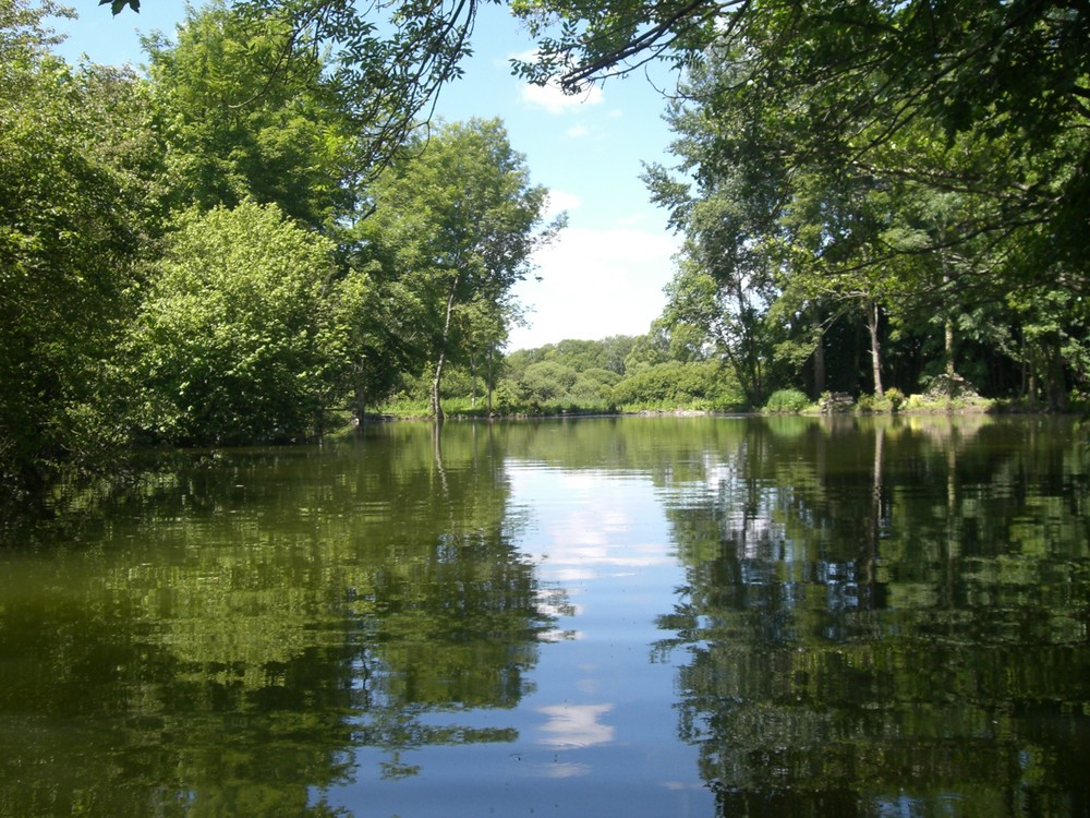 l'etang