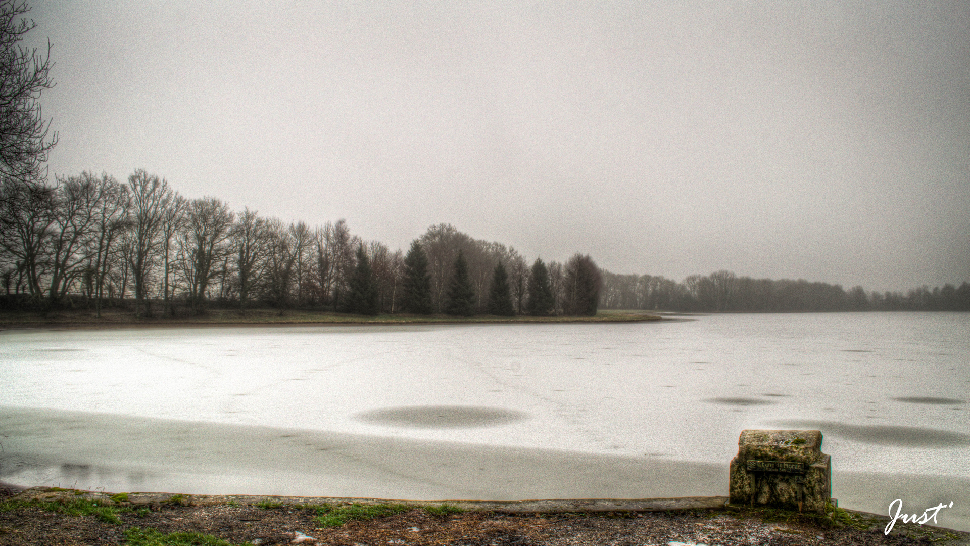 L'étang encore gelé...