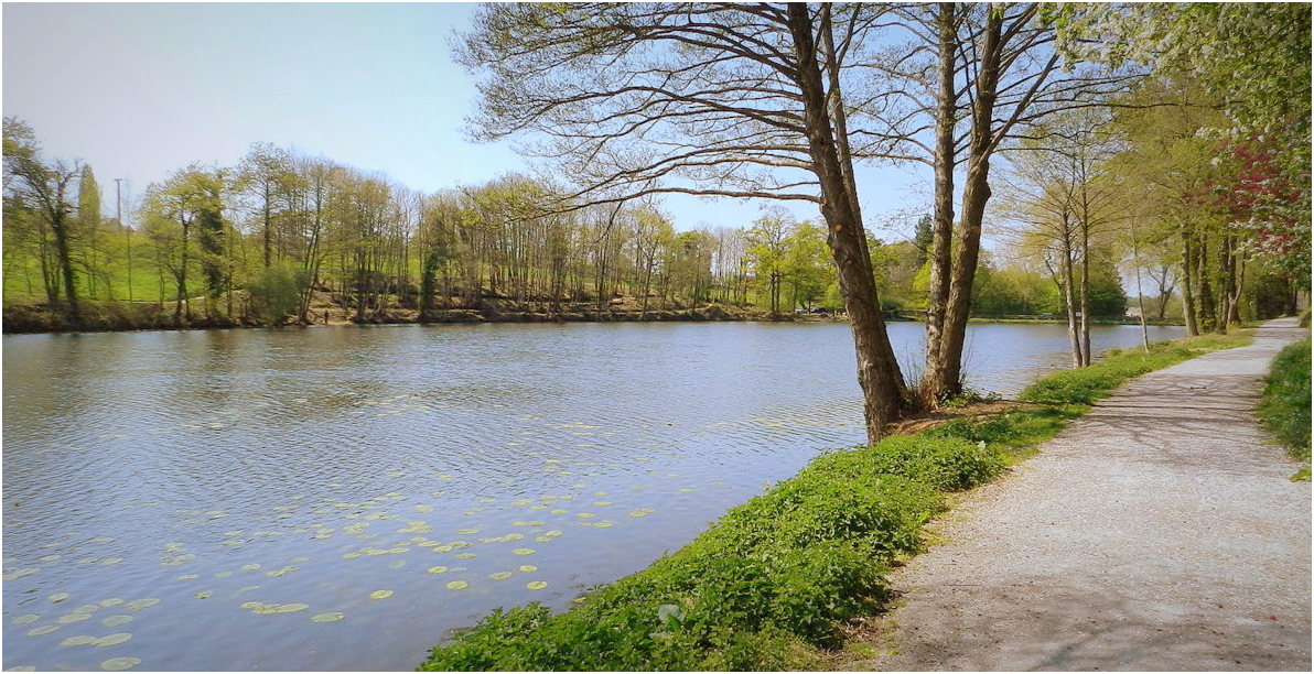 l'étang photo et image paysages, lacs, rivières, cascades, lacs et
