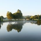 L'étang le matin.