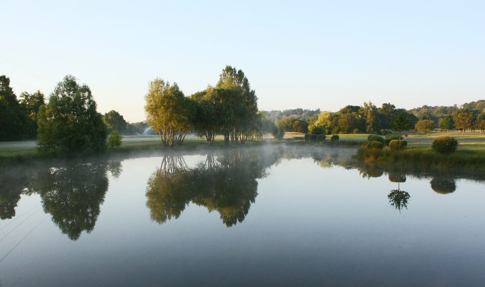 L'étang le matin.