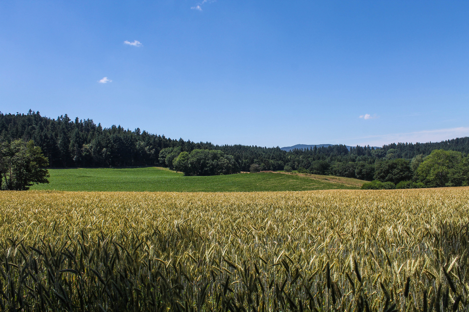 L'été