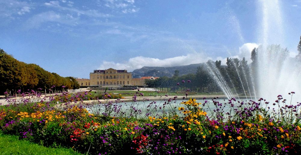 L'été au parc