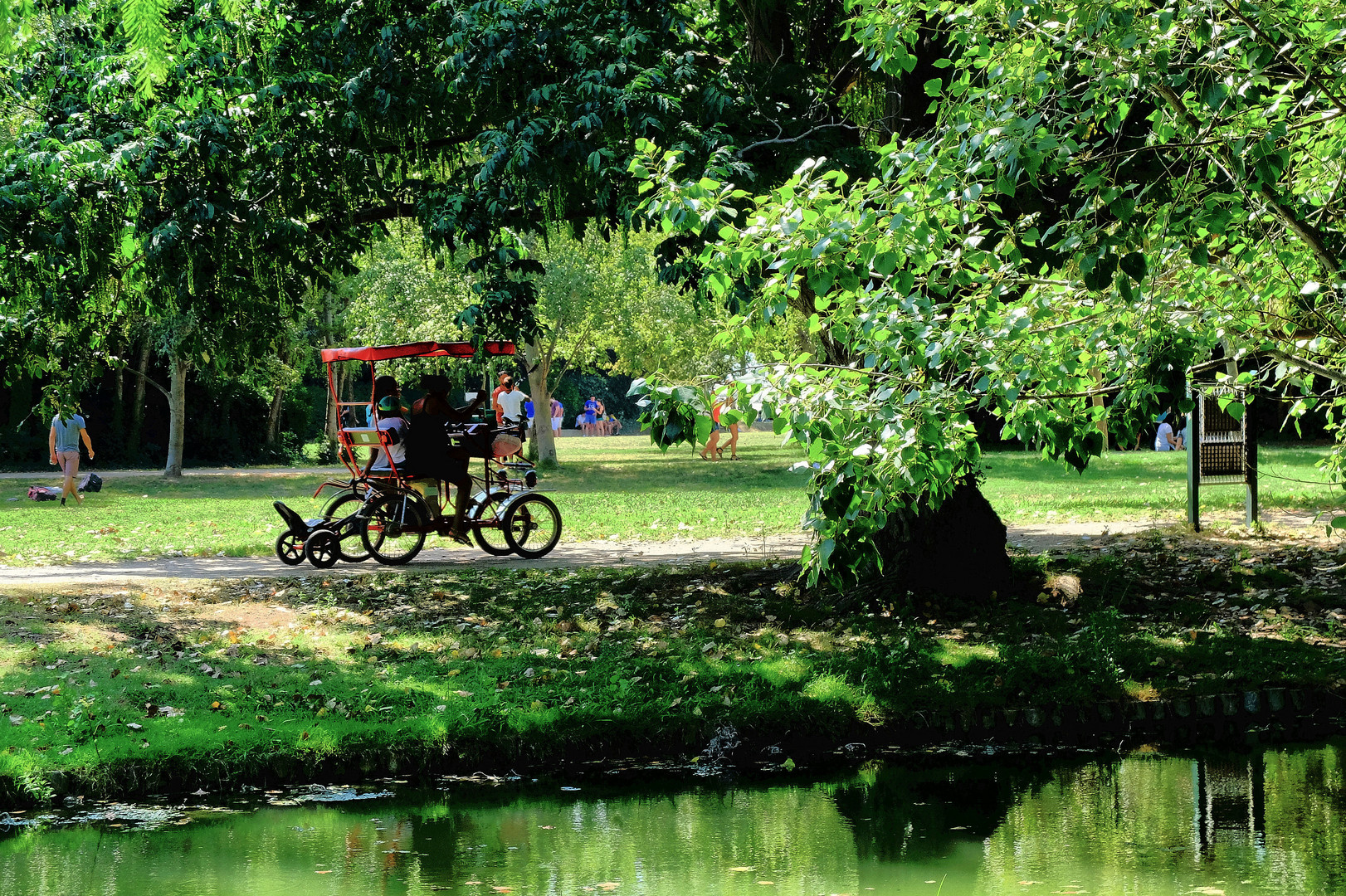 L'été au parc (4)