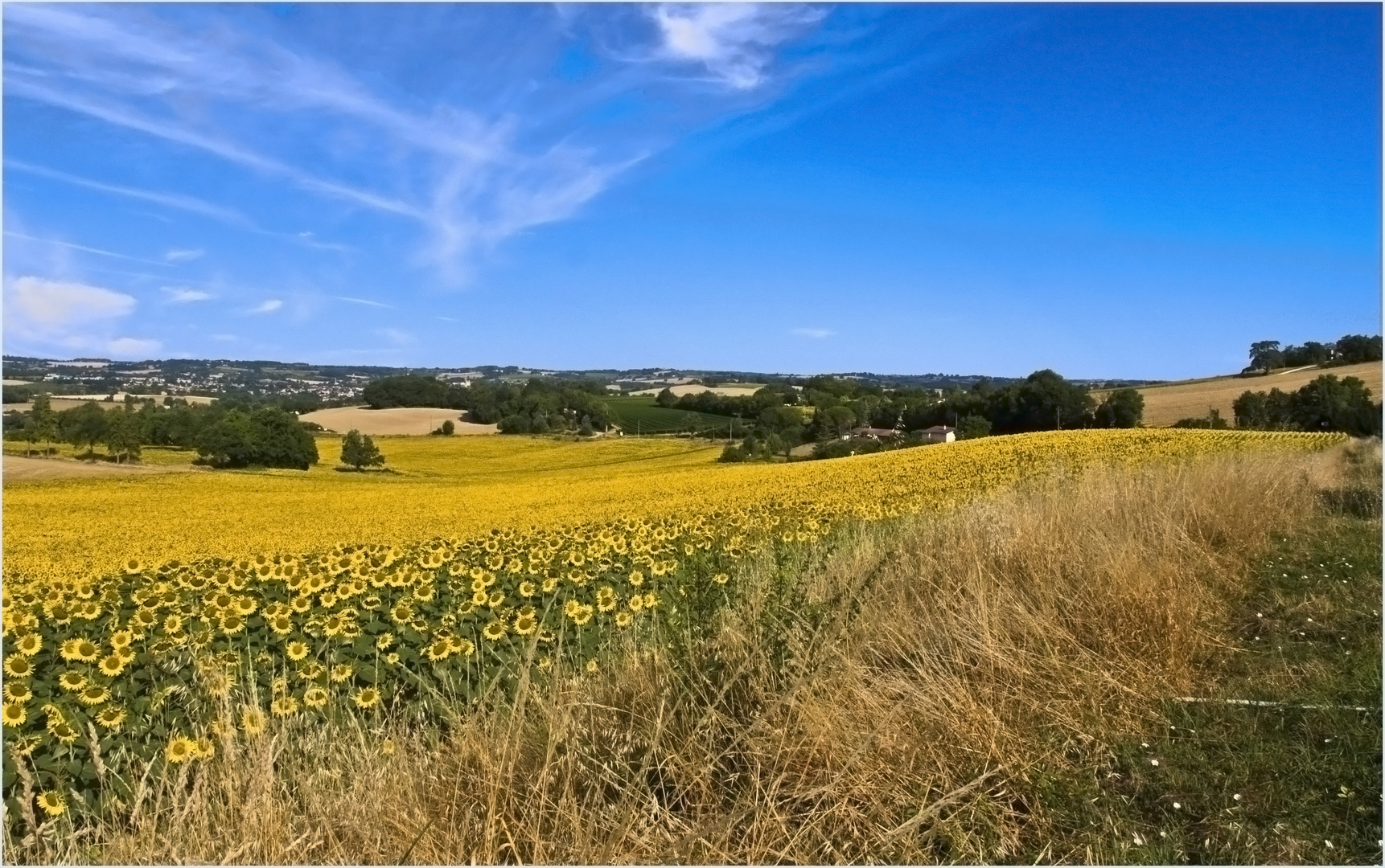 L’été dans le Gers