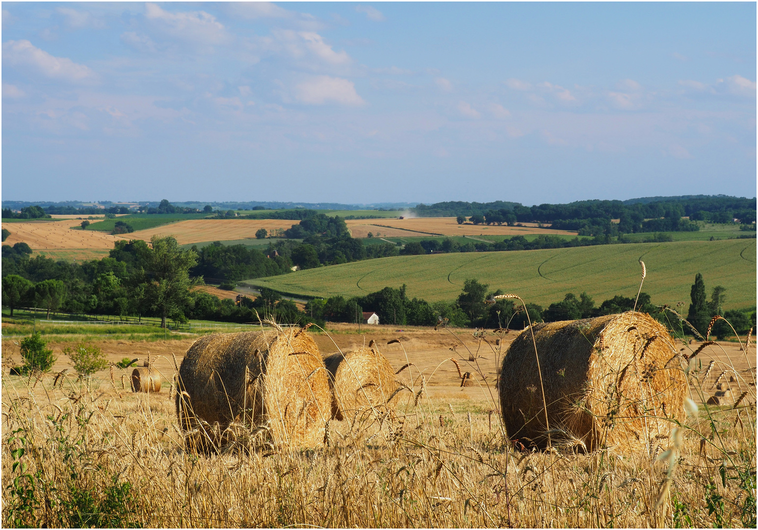 L’été en Gascogne