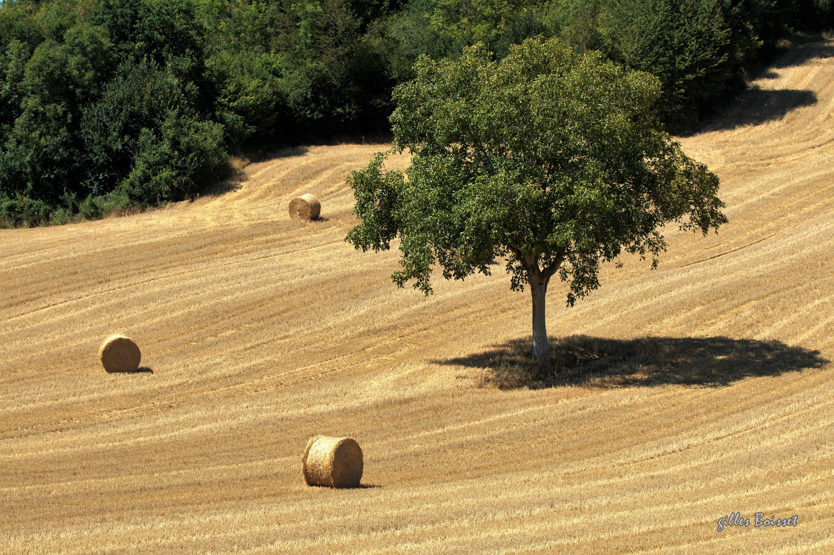 L'été en pente douce dans le Vexin normand 2