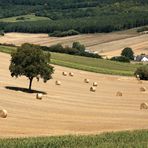 L'été en pente douce dans le Vexin normand