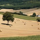 L'été en pente douce dans le Vexin normand