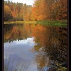 L'été est fini ...... mais l'automne est si beau !