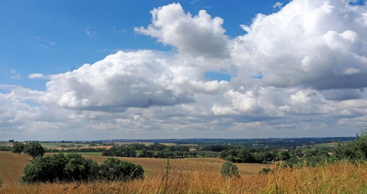 L’été est revenu ces jours-ci dans le Gers