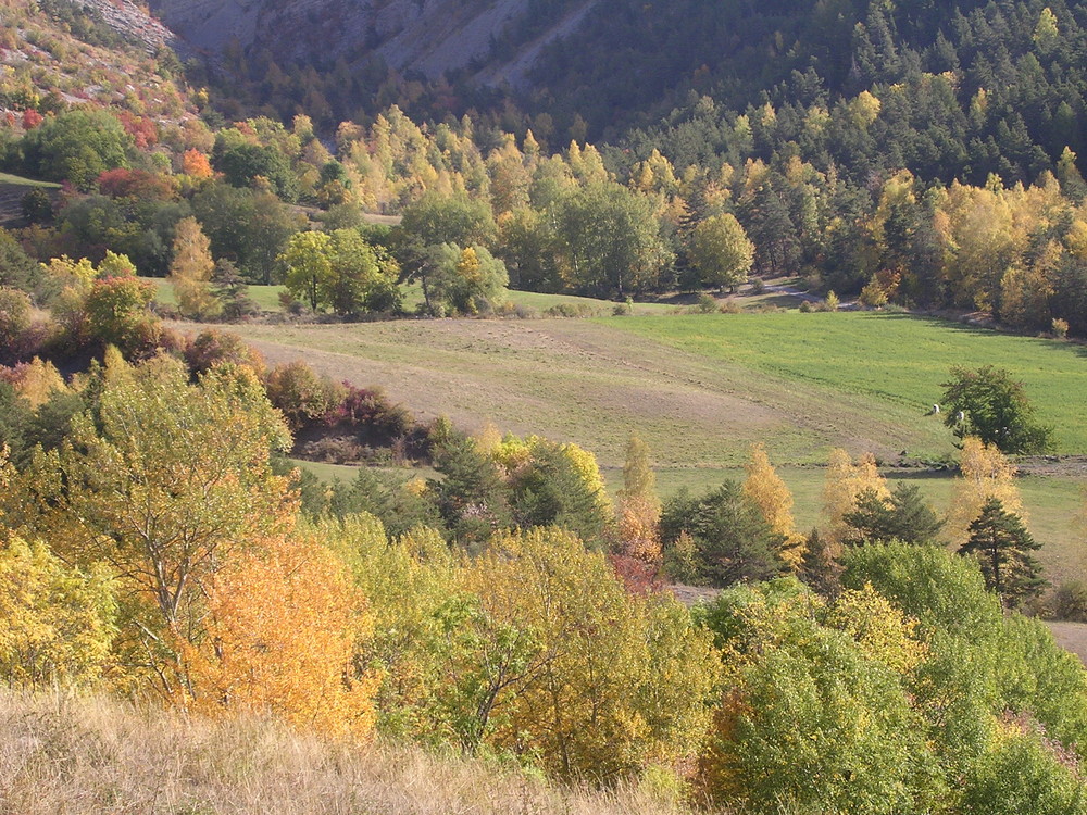 L'été indien: Alpes de htes-Provence