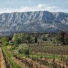 L'été sous Sainte Victoire