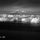 L'Etna, visto dalle saline di Priolo, in una luce "diversa".