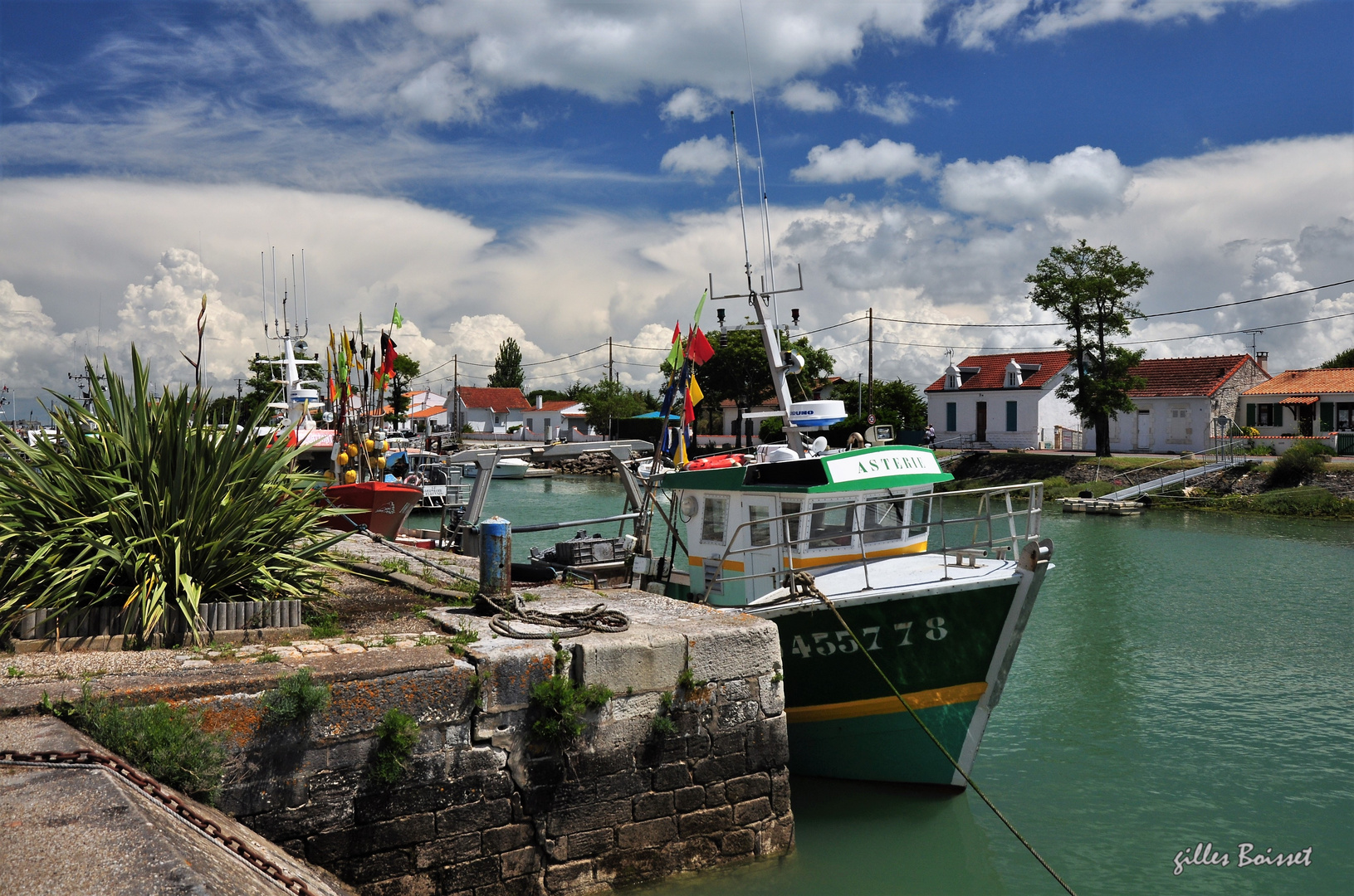 L'étoile de mer de Boyardville