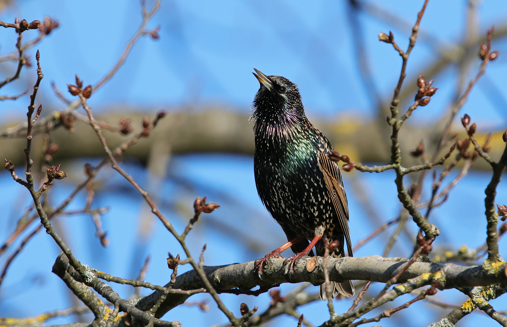 Let`s get ready to Früüüühling!!!