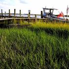 LETS GET SOME SEAFOOD AT TOPSAIL ISLAND