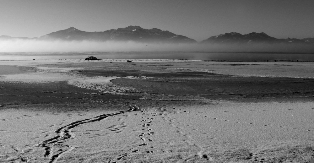 let´s go skiing into the lake