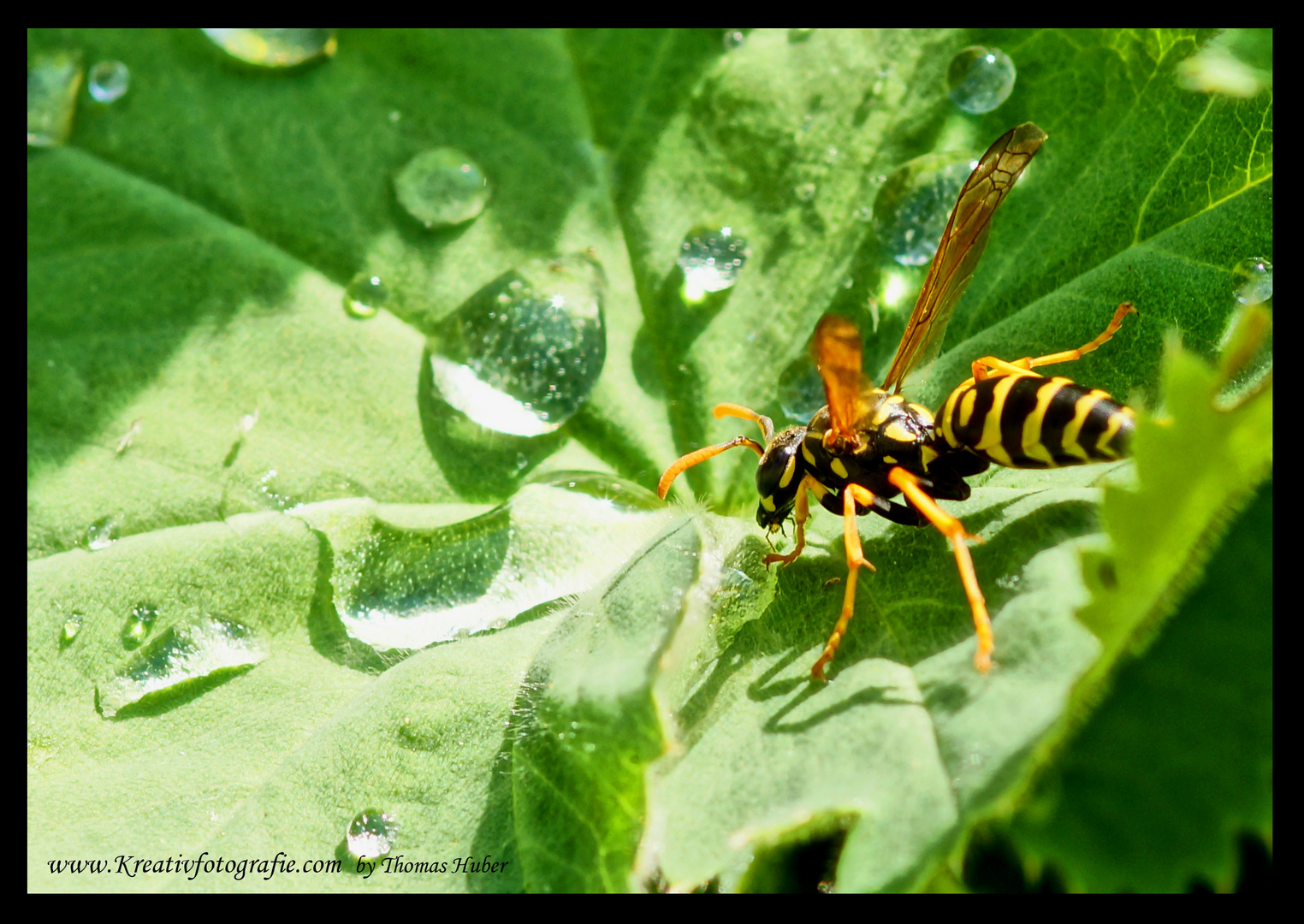 Let´s have a drink !