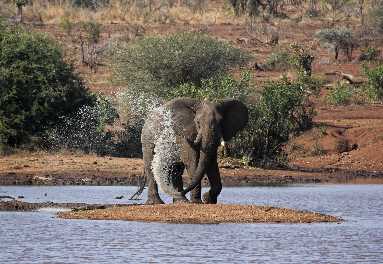 Let´s have a shower!