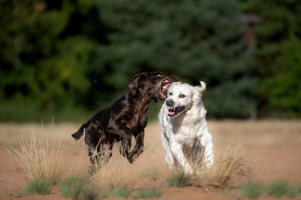 Let´s paaaaaaartyyy!!!