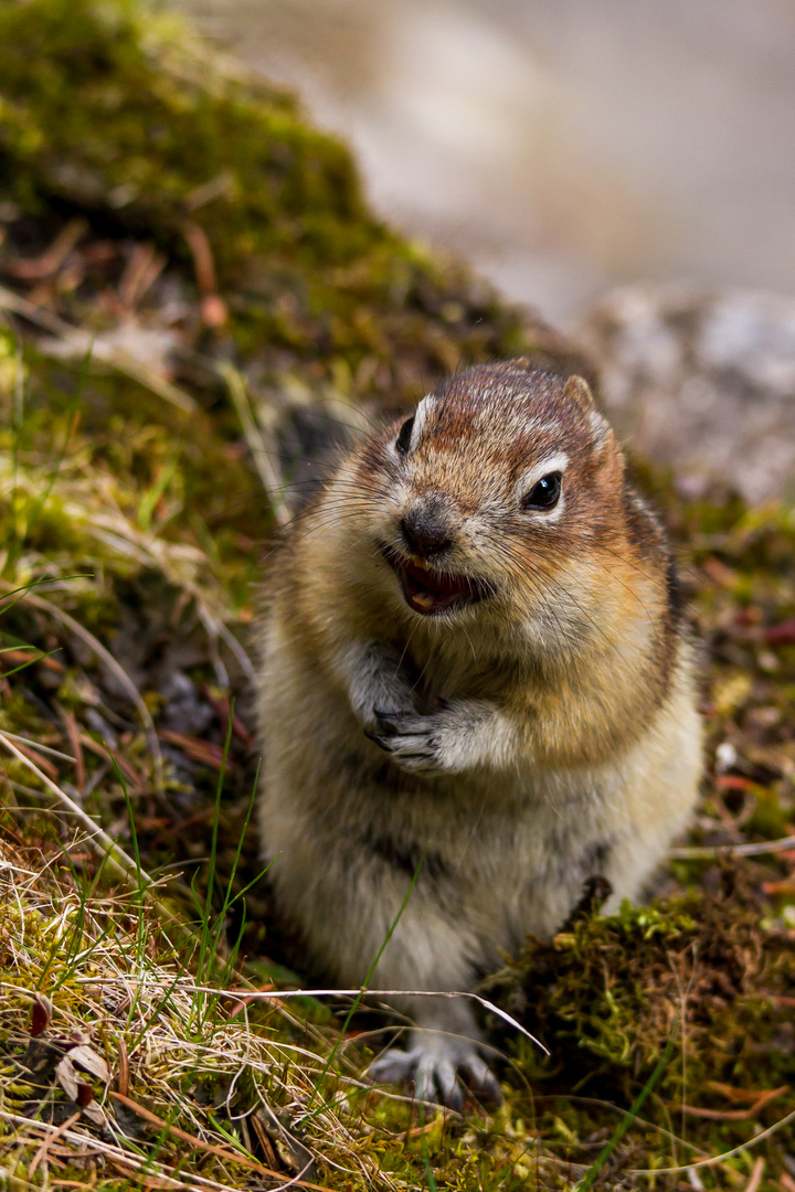 Let's talk about nuts...